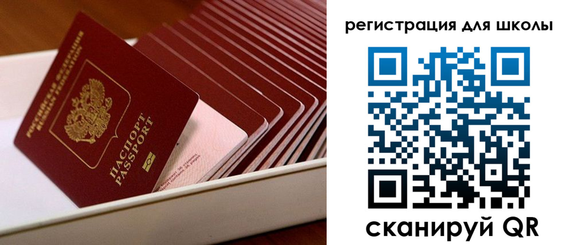 прописка гарантия в Менделеевске